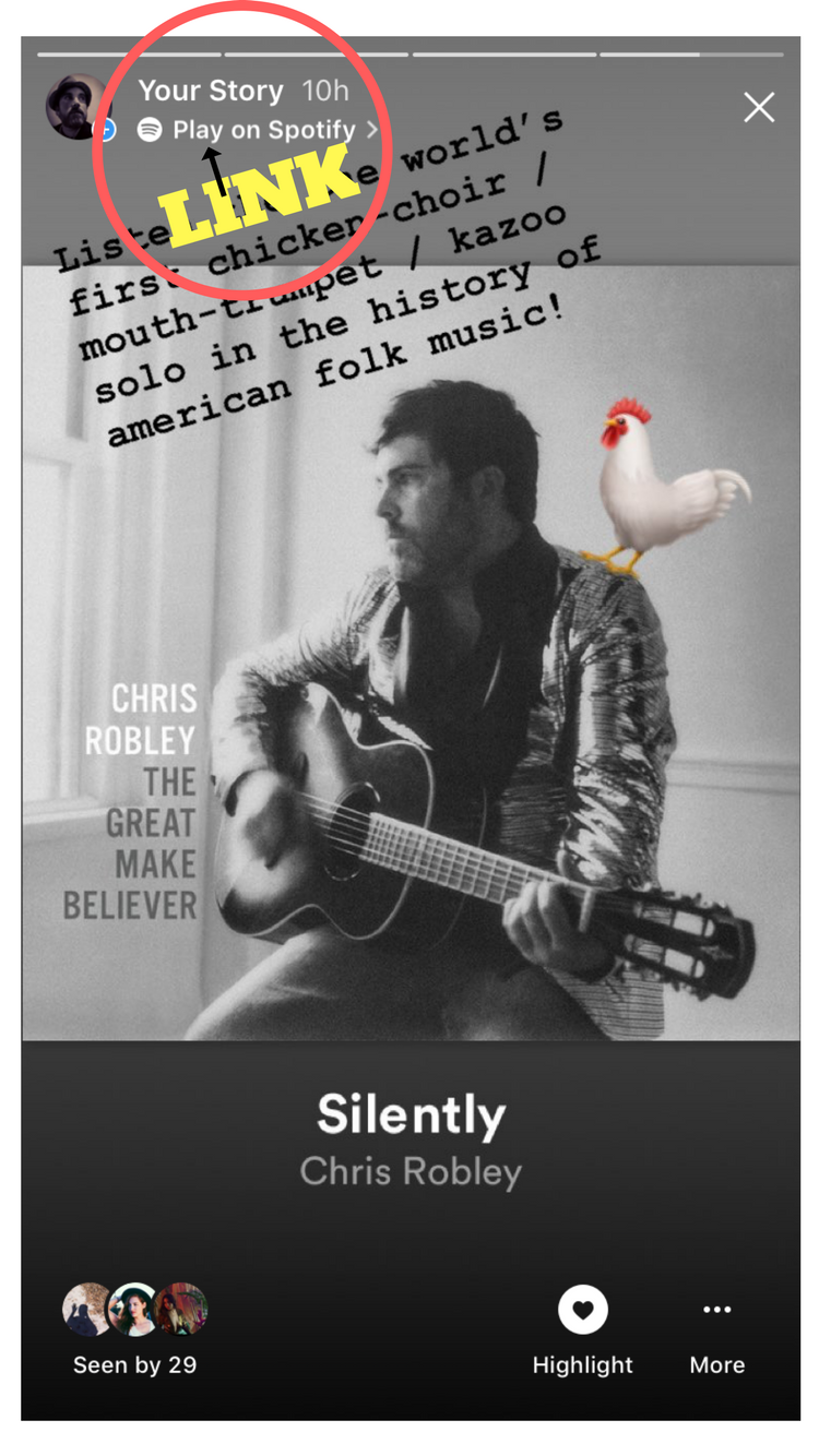 Your Instagram Stories Can Now Link To Spotify DIY Musician