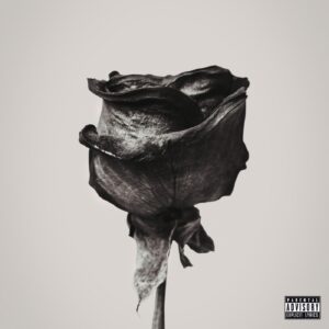 The Frst Black Rose